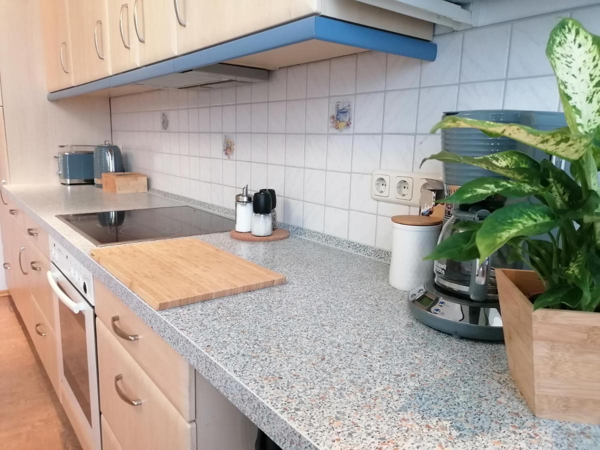 Apartment Sonne Reusa Плауэн Экстерьер фото